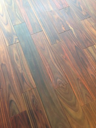 10559164_694876857258809_1200181187_n